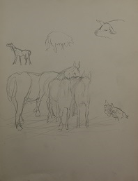 JD_S_00854